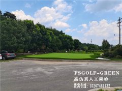 高爾夫仿真庭院果嶺